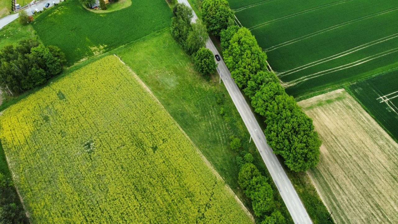 Działka budowlana Pielgrzymowice Trąbieniec, ul. Jastrzębska. Zdjęcie 6
