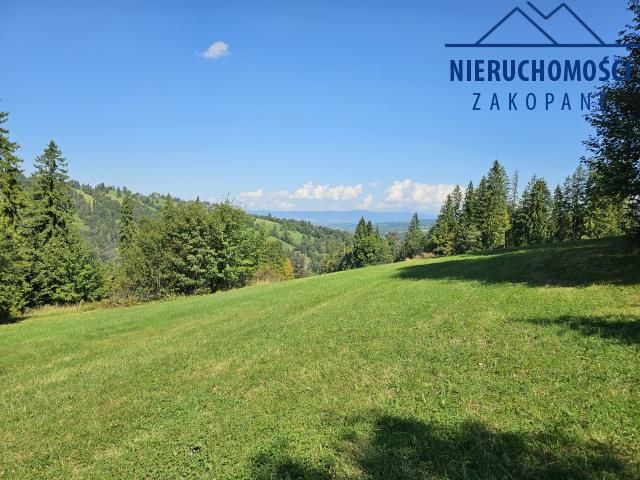 Działka rolna Suche. Zdjęcie 5