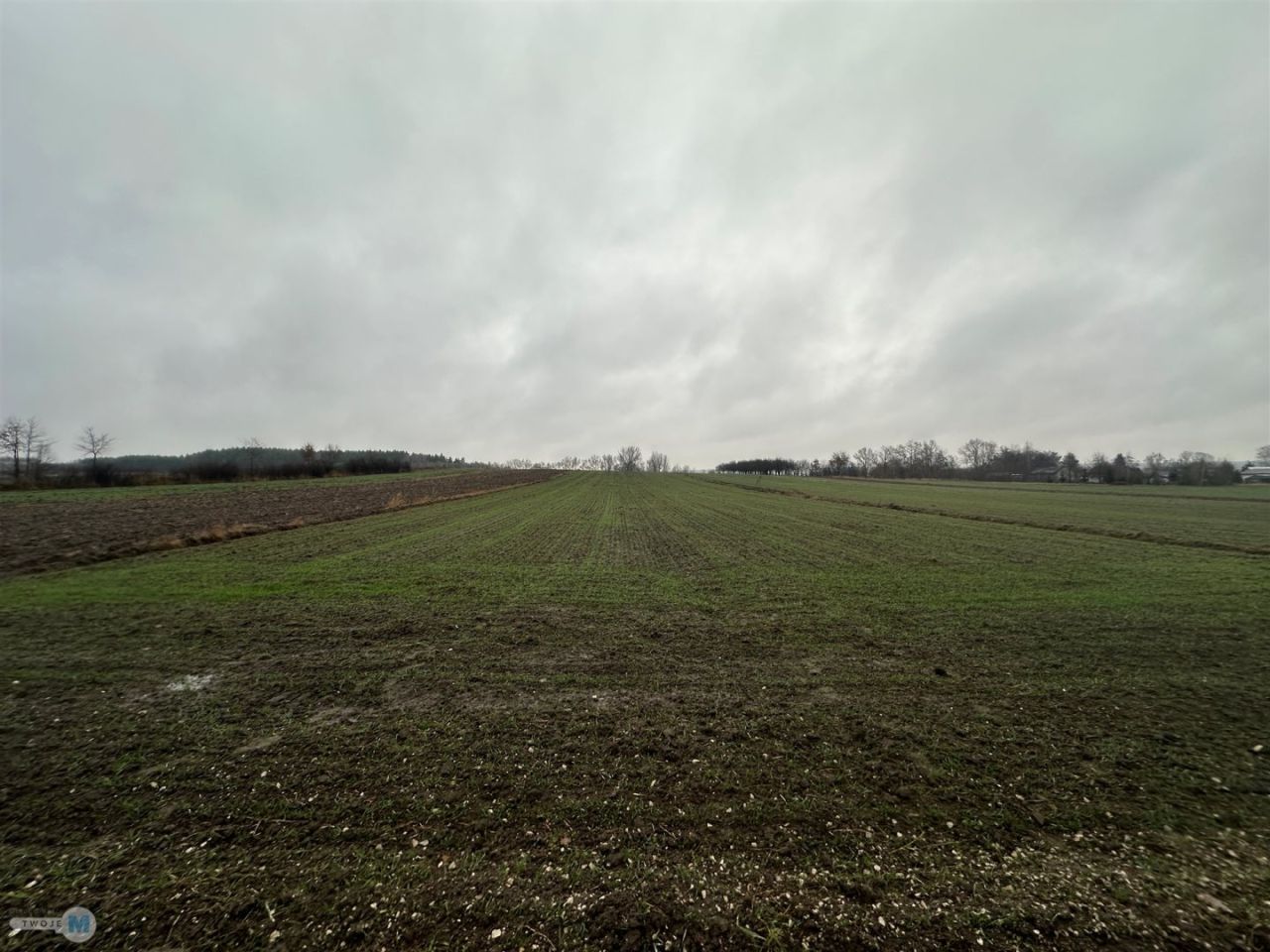 Działka Kostera. Zdjęcie 11