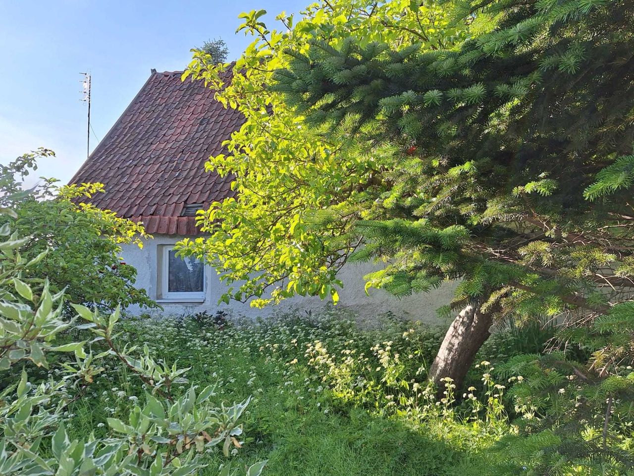 Działka rolno-budowlana Kiwity. Zdjęcie 6