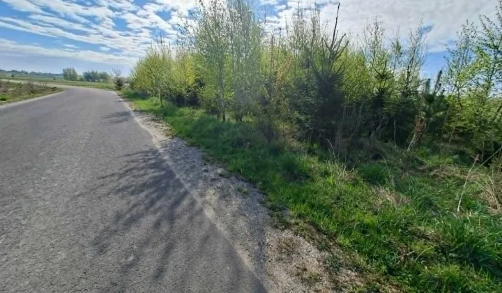 Działka rolna Szczepanów