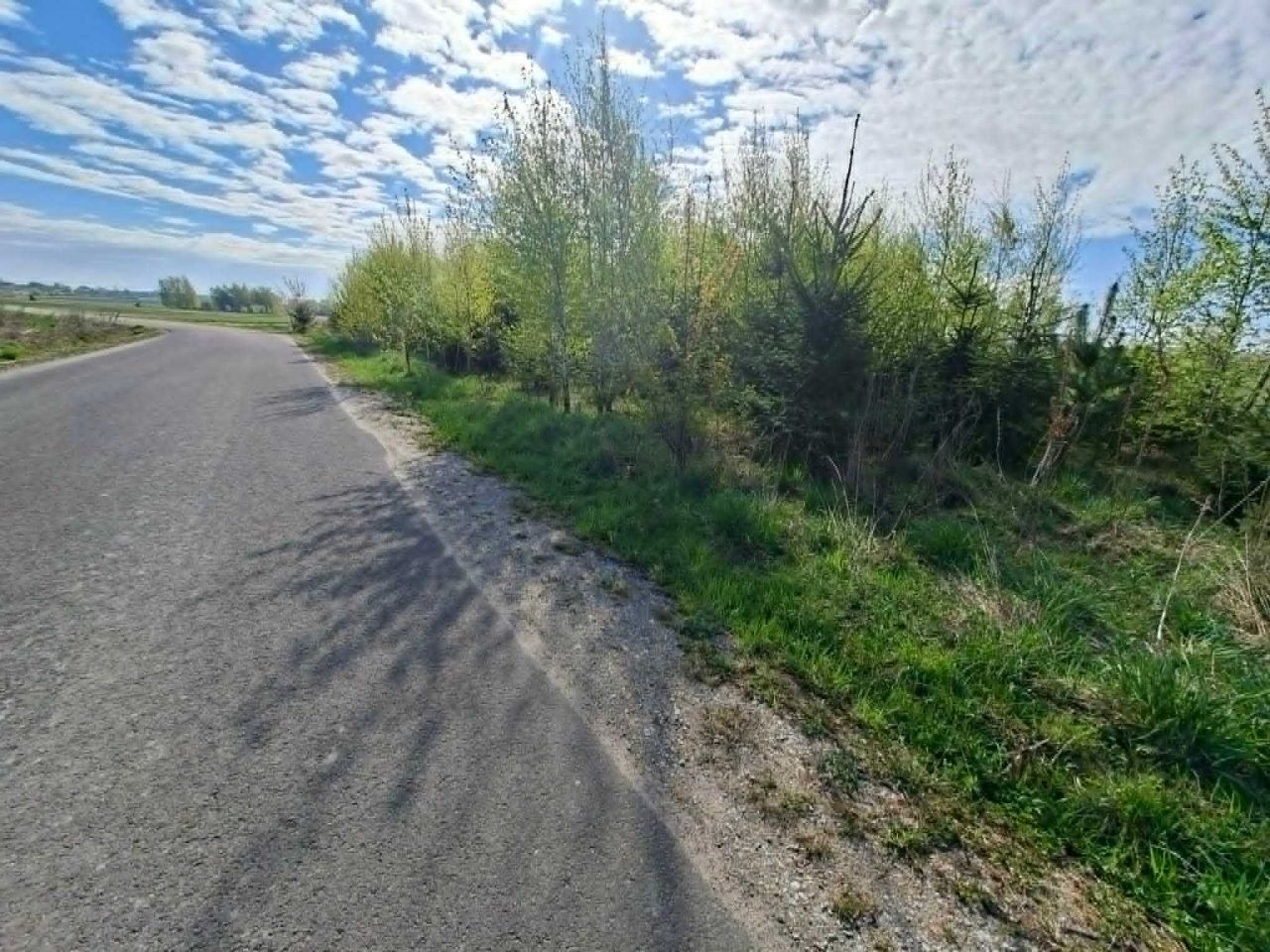 Działka rolna Szczepanów. Zdjęcie 1