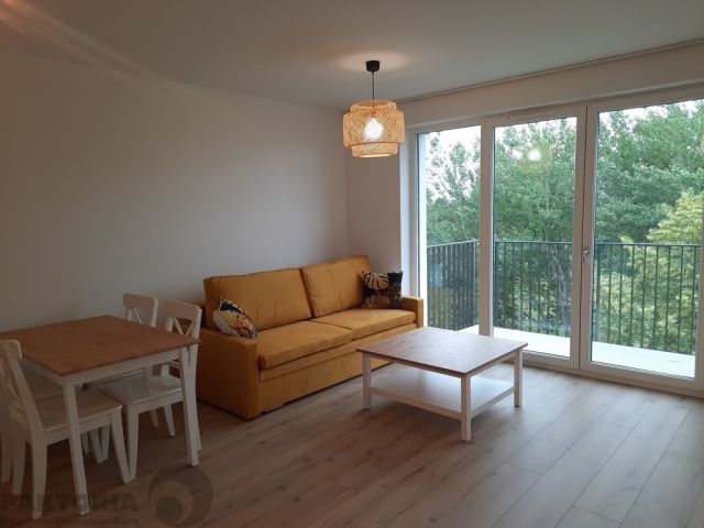 Mieszkanie 1-pokojowe Szczecin Gumieńce. Zdjęcie 1