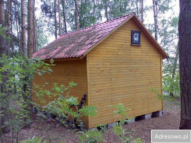 Działka leśna Boguszynek. Zdjęcie 3