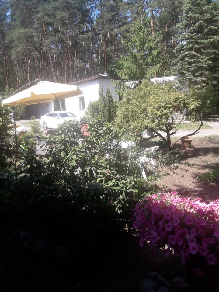 Nieruchomość komercyjna Wólka Radzymińska, ul. Szkolna. Zdjęcie 15