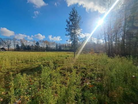 Działka rolno-budowlana Cmolas Dąbrówka. Zdjęcie 3