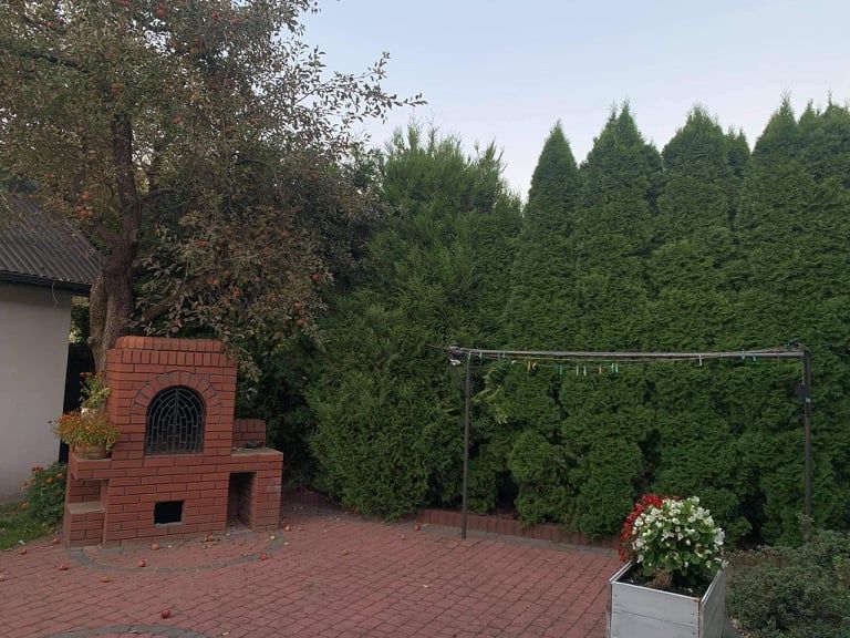 dom wolnostojący, 4 pokoje Młodów. Zdjęcie 11