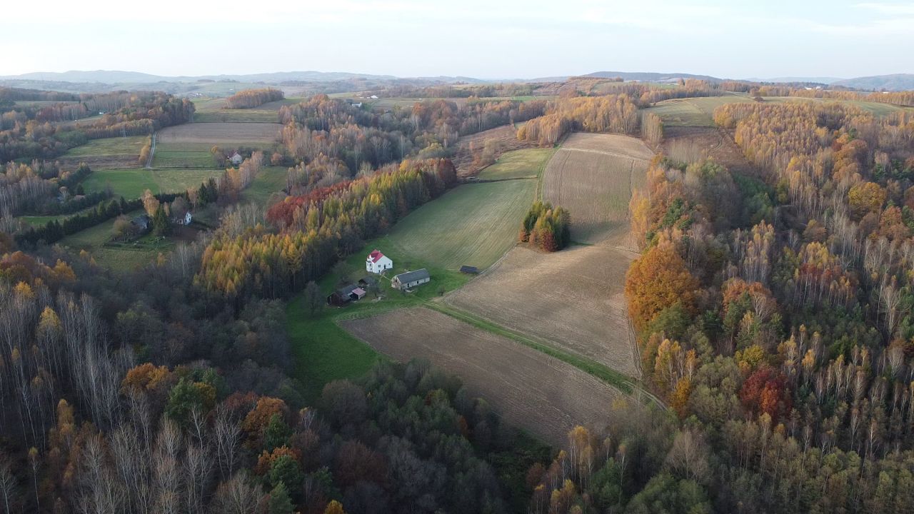 gospodarstwo, 3 pokoje Przeczyca Podlesie. Zdjęcie 3