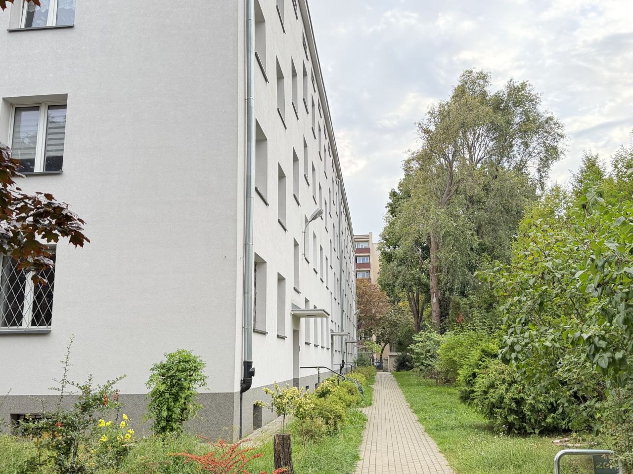 Zdjęcie 7