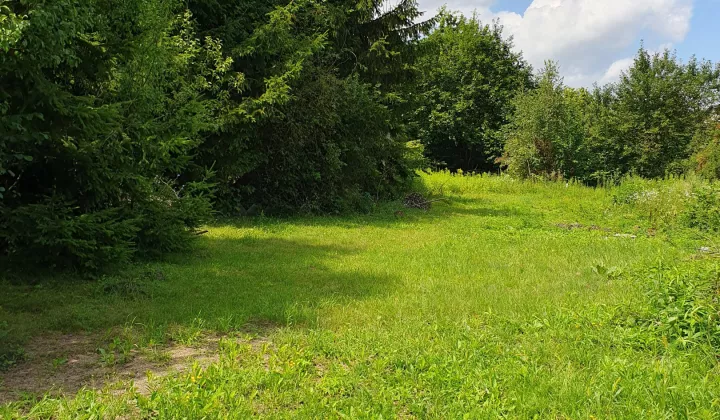 Działka rolno-budowlana Zosin