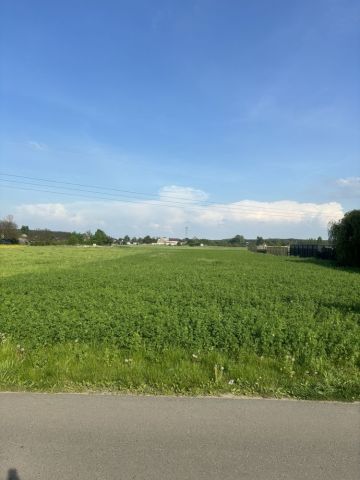 Działka rolno-budowlana Deszczno. Zdjęcie 1