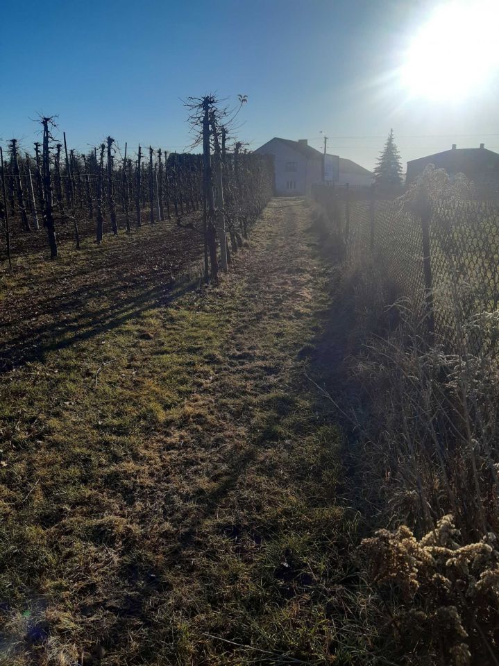 Działka rolno-budowlana Nowy Żelechów. Zdjęcie 4