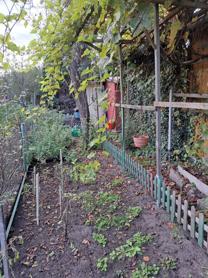 Działka rod Toruń Wrzosy, ul. Słowicza. Zdjęcie 16