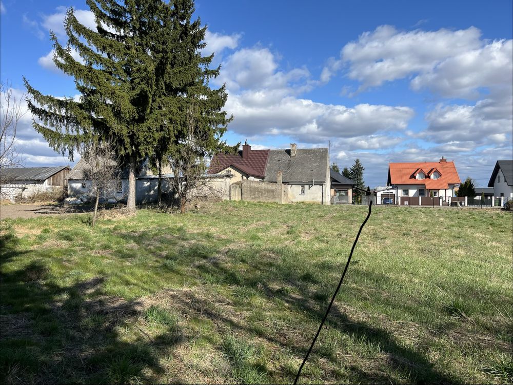 bliźniak Kisielice. Zdjęcie 2