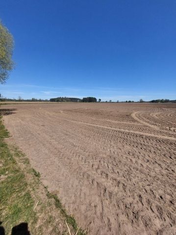 Działka rolna Sarbia. Zdjęcie 1