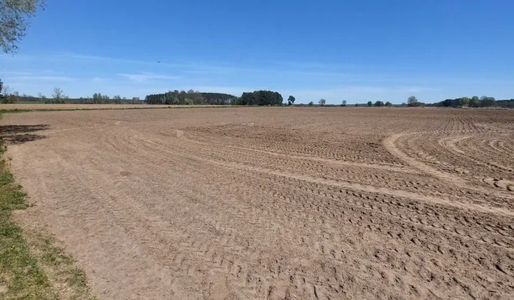 Działka rolna Sarbia