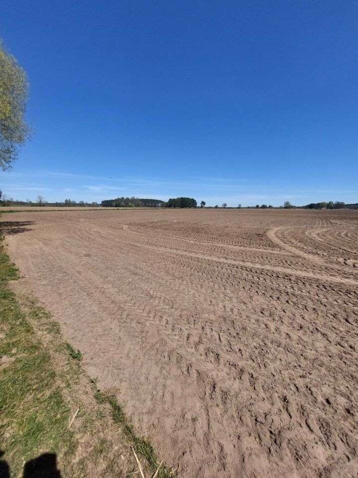 Działka rolna Sarbia. Zdjęcie 1