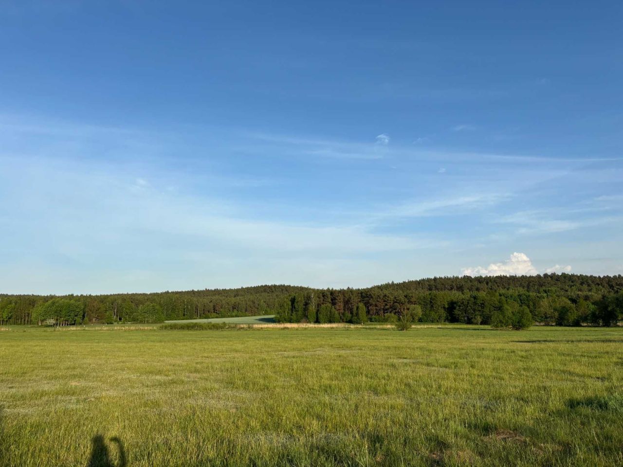 Działka budowlana Lewiczyn. Zdjęcie 2