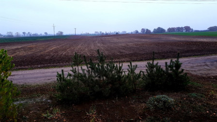 Działka budowlana Skórki