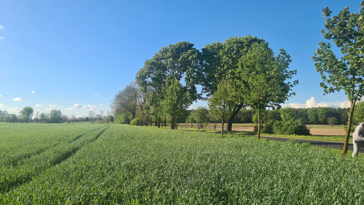 Działka budowlana Węgierskie. Zdjęcie 2
