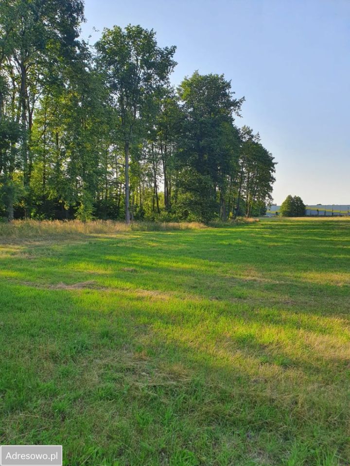 Działka rolno-budowlana Pawlikowice. Zdjęcie 2