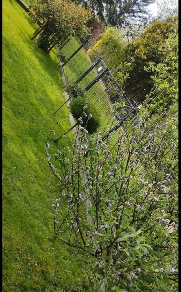 Działka rod Raszyn. Zdjęcie 6