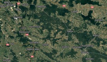 Działka leśna Głuchów-Lasy