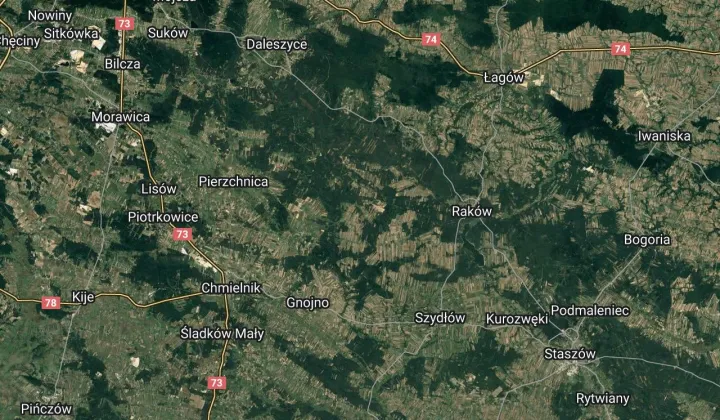 Działka leśna Głuchów-Lasy