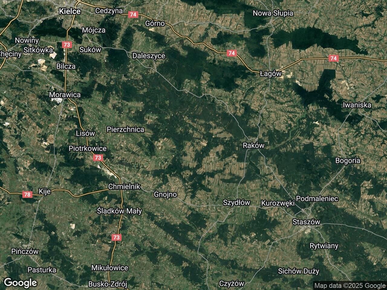 Działka leśna Głuchów-Lasy