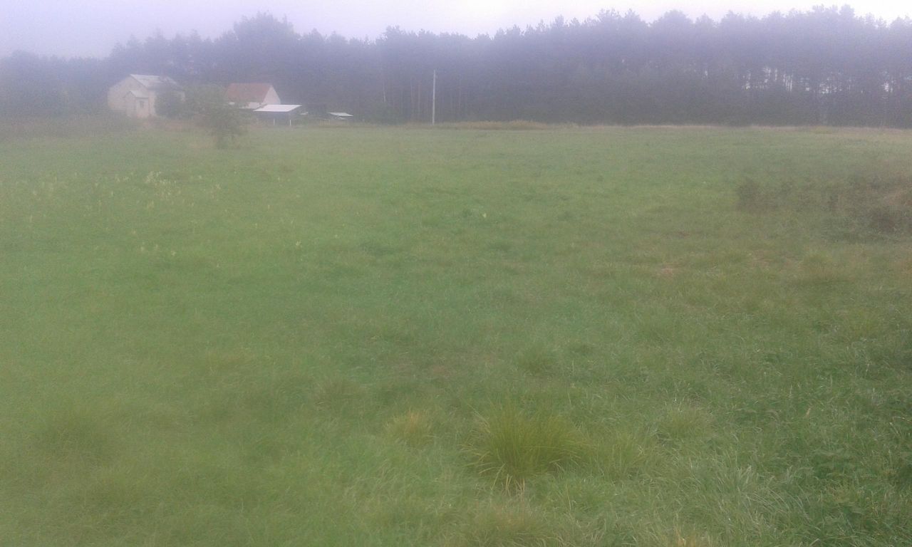 Działka rolno-budowlana Brójce, ul. 1 Maja. Zdjęcie 2