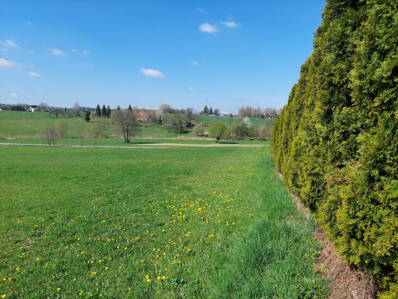Działka rolno-budowlana Szalowa Bochnia. Zdjęcie 13