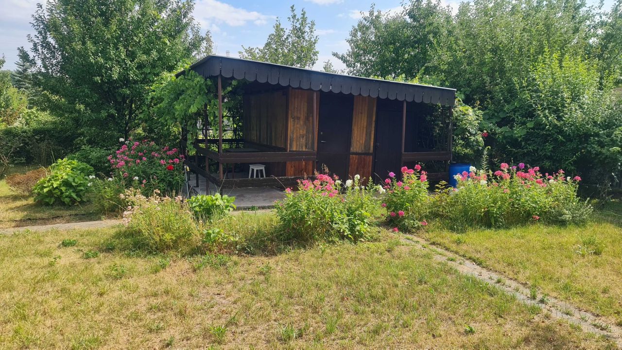 Działka rod Łódź Chojny. Zdjęcie 1