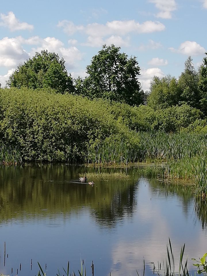 dom wolnostojący, 5 pokoi Zielin, ul. Słoneczna. Zdjęcie 21