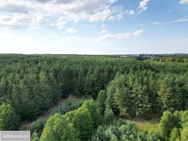 Działka budowlana Tereszewo. Zdjęcie 1