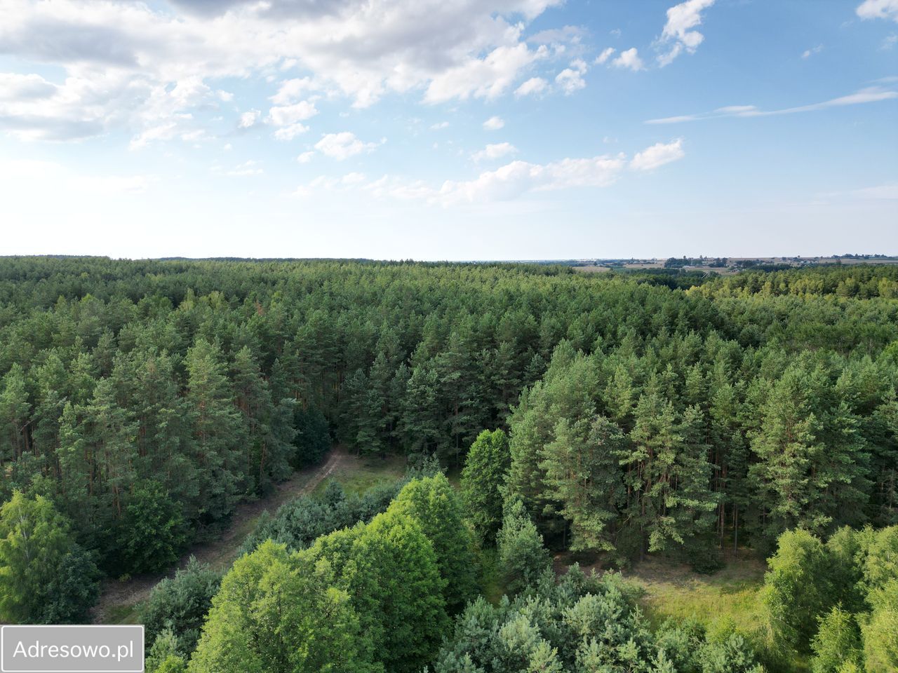 Działka budowlana Tereszewo