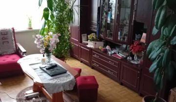 Mieszkanie 2-pokojowe Dobrojewo