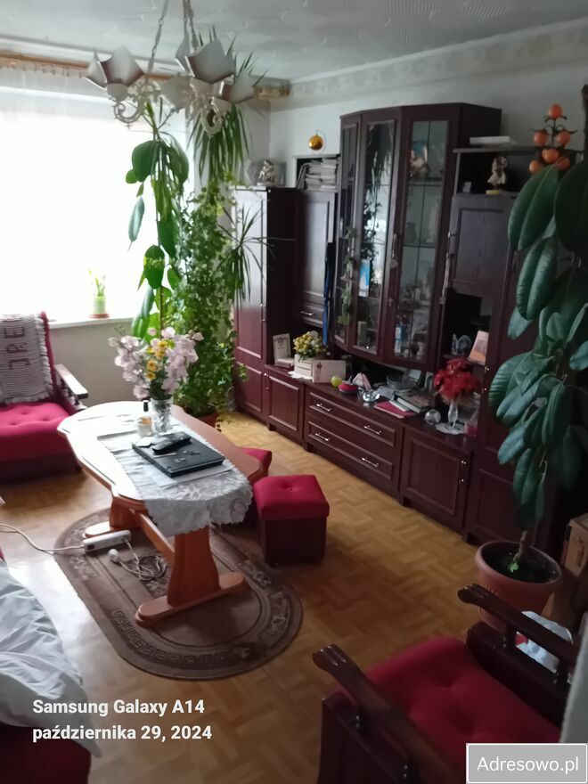 Mieszkanie 2-pokojowe Dobrojewo. Zdjęcie 2