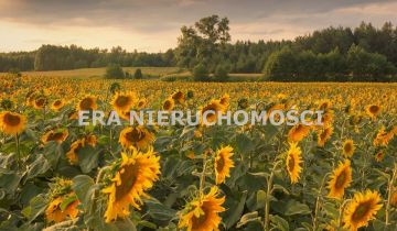 Działka budowlana Waliły