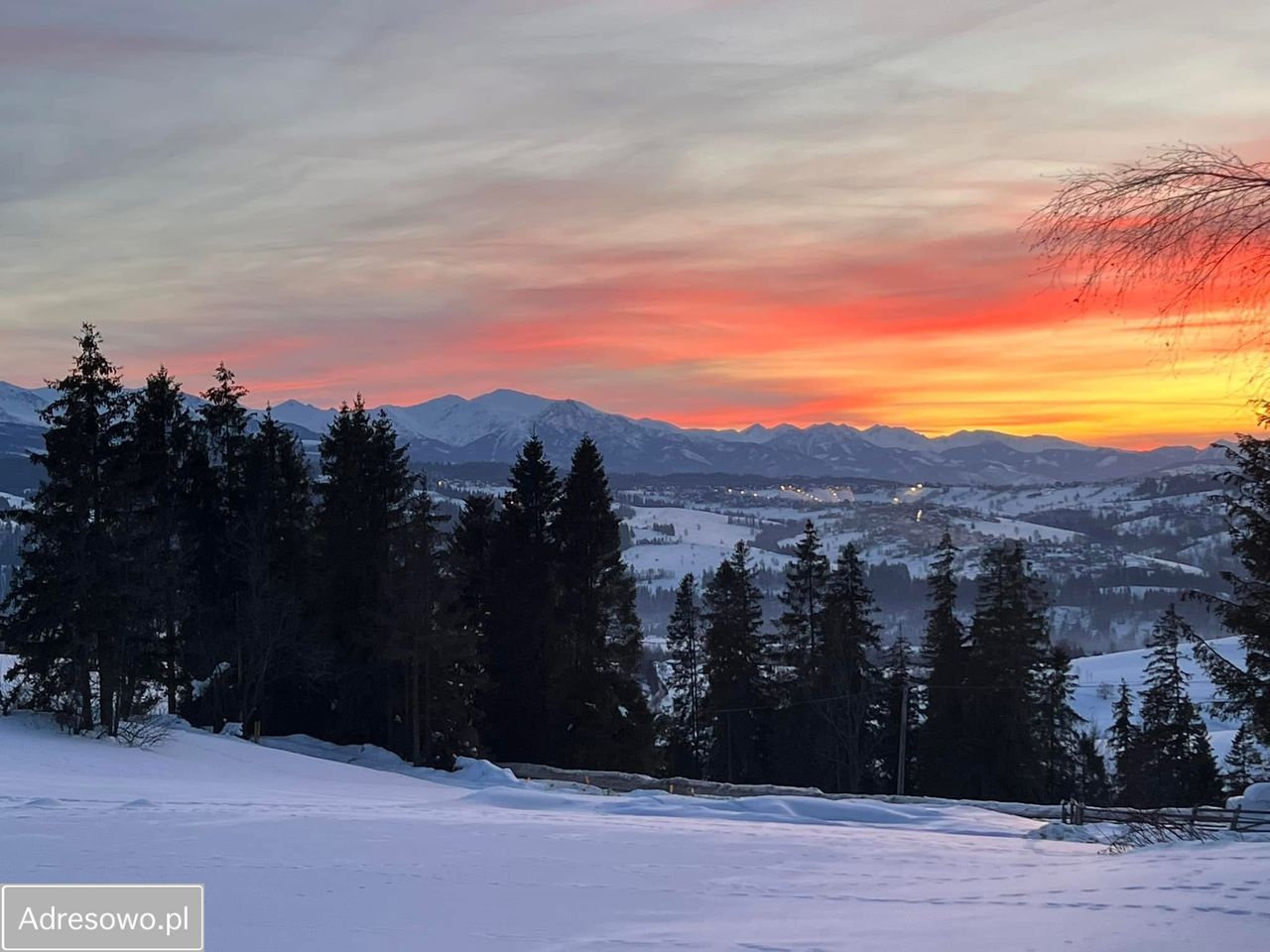 Działka budowlana Rzepiska, ul. Pawliki. Zdjęcie 8