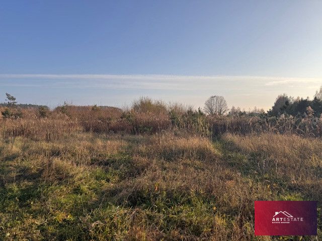 Działka siedliskowa Florentynów. Zdjęcie 5