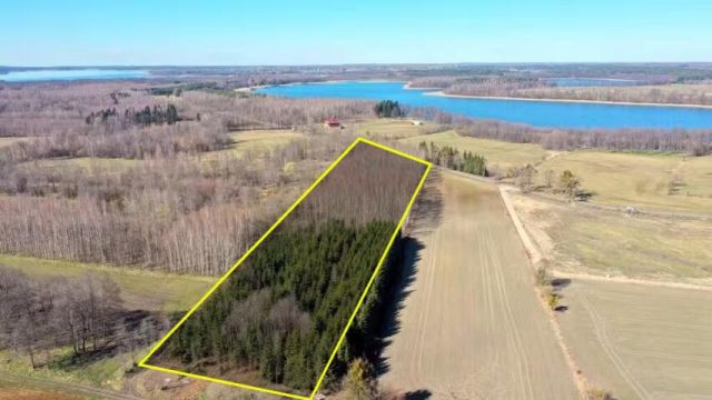 Działka leśna Harsz. Zdjęcie 1