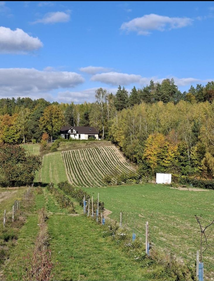 dom wolnostojący, 4 pokoje Ociesęki Madeje. Zdjęcie 12