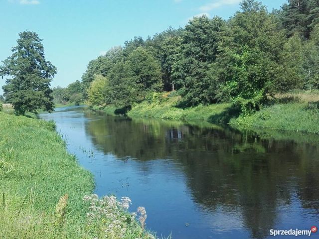 Działka rolno-budowlana Nowa Wieś. Zdjęcie 1