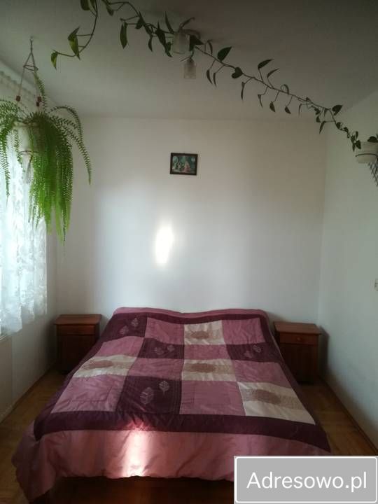 bliźniak, 5 pokoi Golub-Dobrzyń. Zdjęcie 7