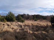 Działka rekreacyjna Rokitki. Zdjęcie 1