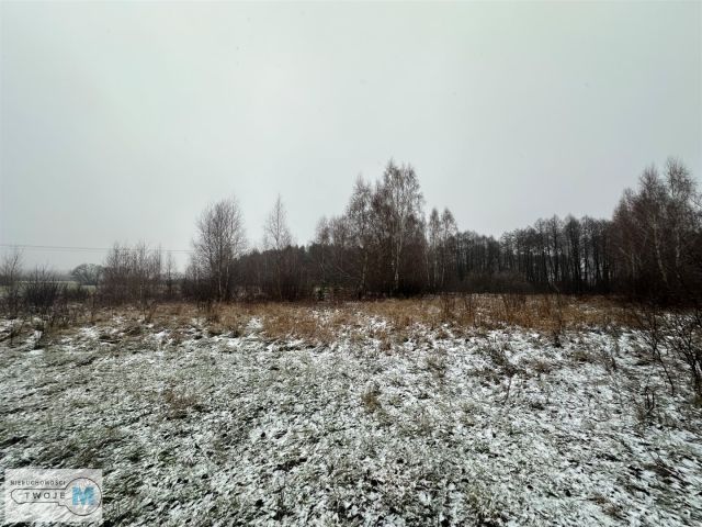 Działka rolna Śladków Duży. Zdjęcie 7