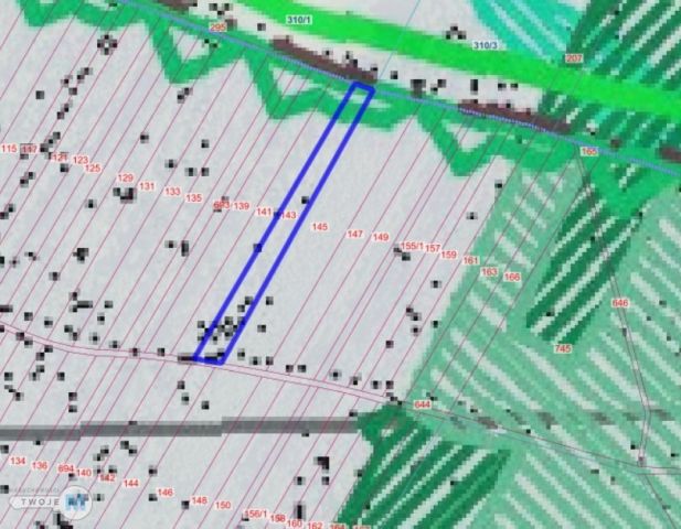 Działka leśna Osiny. Zdjęcie 7