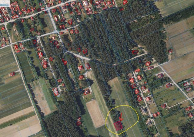 Działka rolna Oliszki. Zdjęcie 1