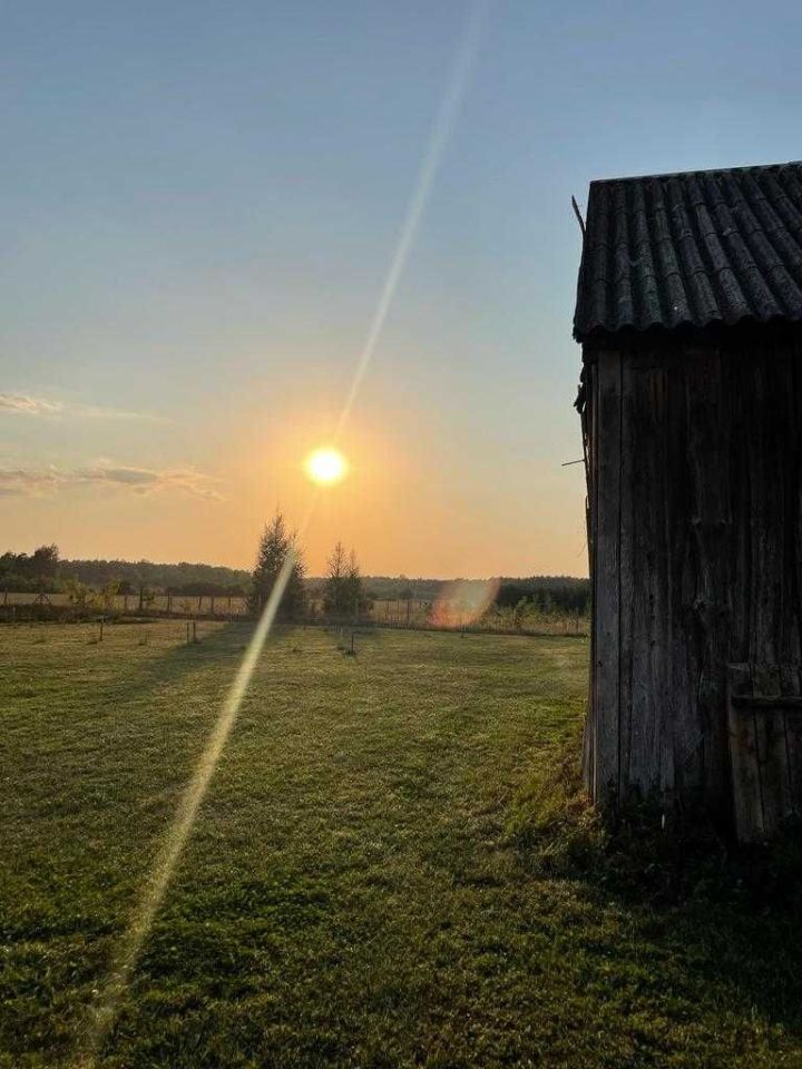 siedlisko Dąbrowa. Zdjęcie 4