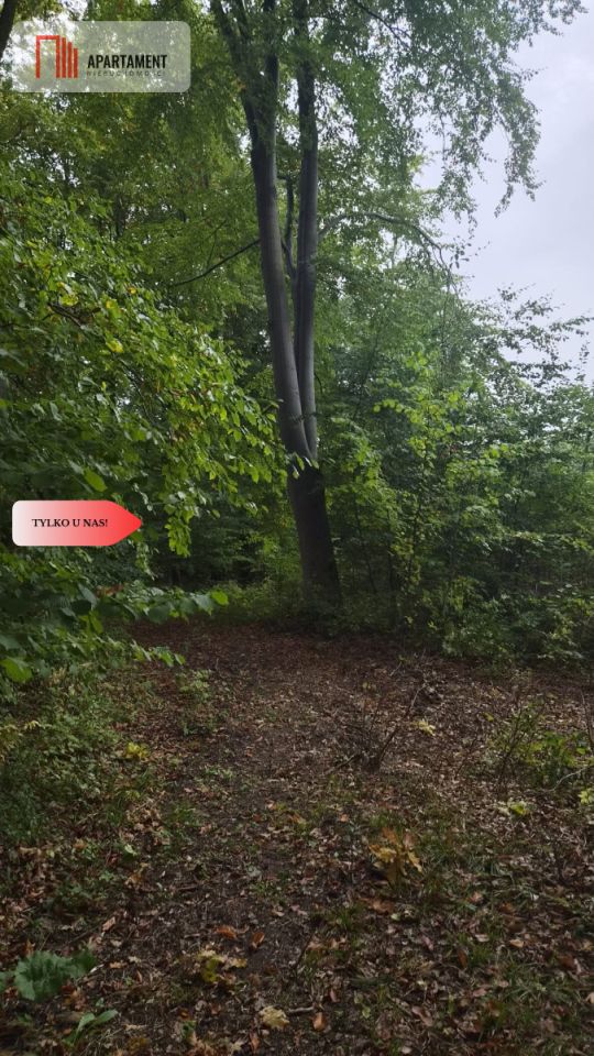 Działka siedliskowa Słowienkowo. Zdjęcie 15